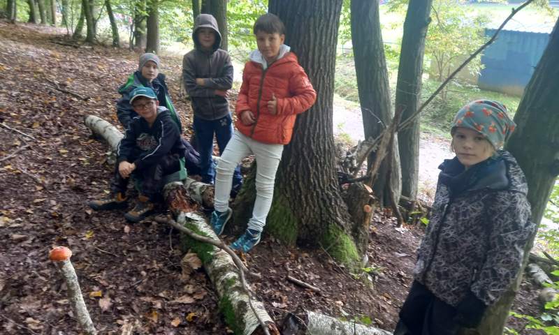 Cvičení v přírodě