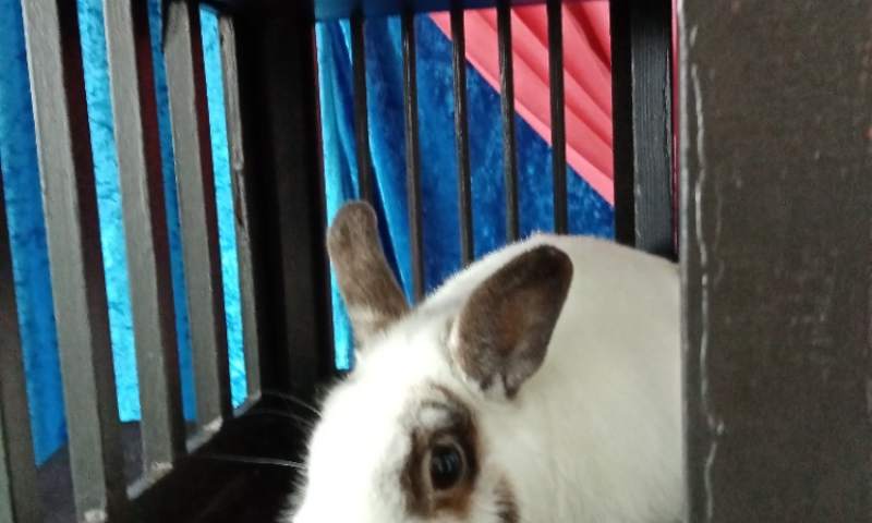 Školní družina Sokolská