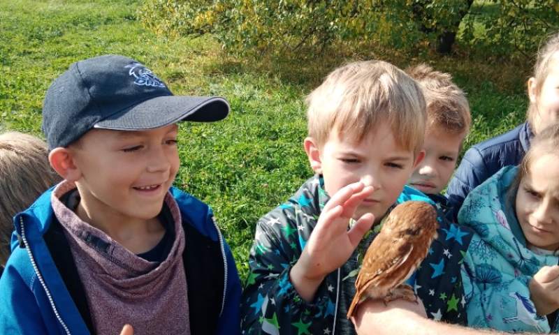 Školní družina Sokolská