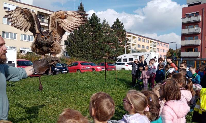 Školní družina Sokolská